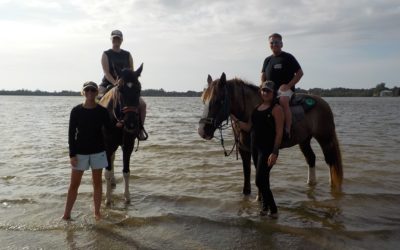 How You Can Horseback Ride on the Beaches of Bradenton