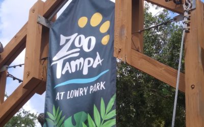 Creatures Of The Night Is Back At Zoo Tampa