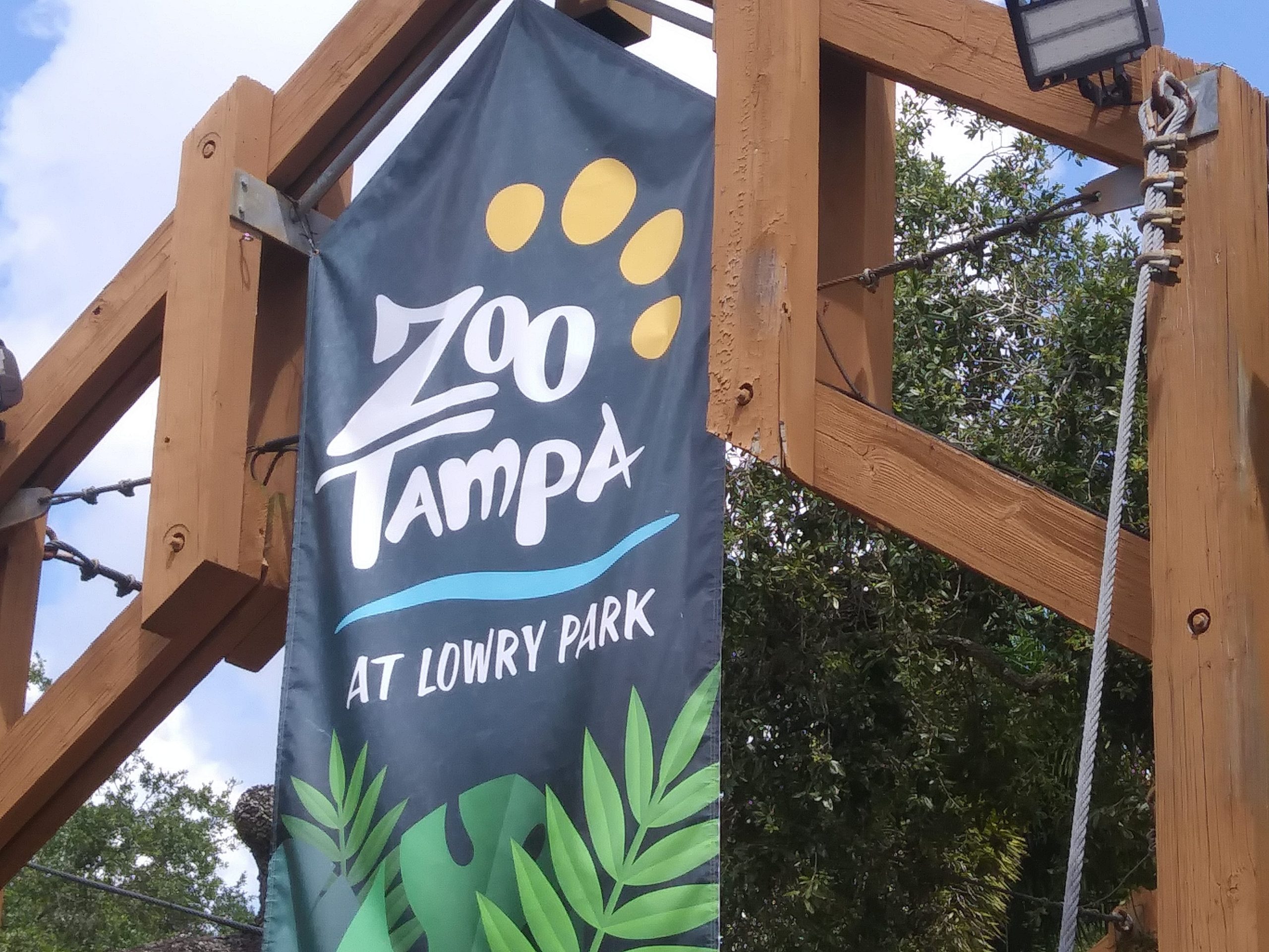 Creatures Of The Night Is Back At Zoo Tampa Experience Tampa Bay