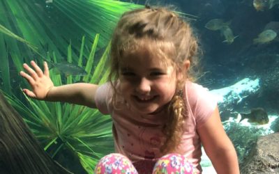 Florida Aquarium Through A Child’s Eyes